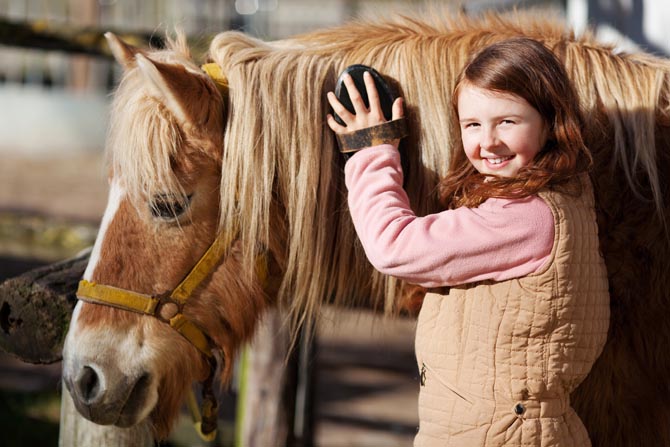 Glückliches Kind pflegt ein Pferd