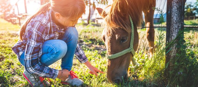 Ein kleines Mädchen hockt neben einem Pferd im Gras