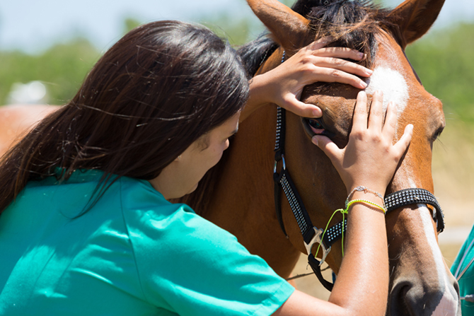 Eine Tierärztin untersucht das Auge eines Pferdes