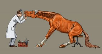Eine Grafik, die zeigt, wie ein Tierarzt das Maul eines Pferdes untersucht