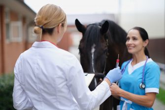 Eine Ärztin hält eine Spritze in der Hand, während sie vor einem Pferd steht