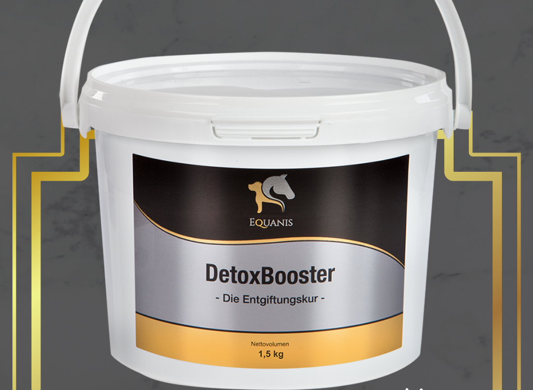 Produkttest: Equanis DetoxBooster 2021