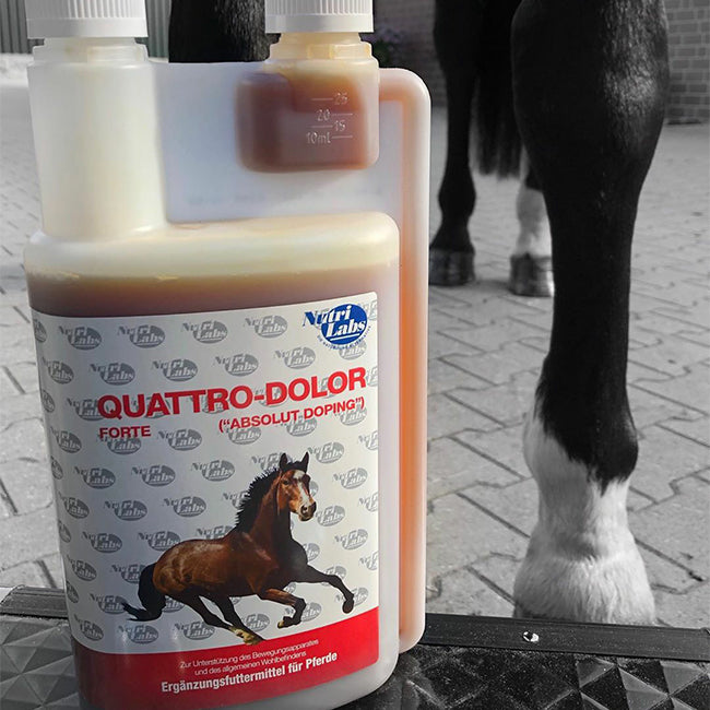 Quattro Dolor forte 1000ml