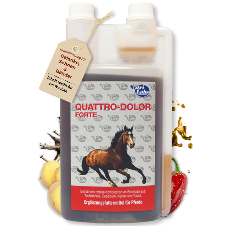 Quattro Dolor forte 1000ml