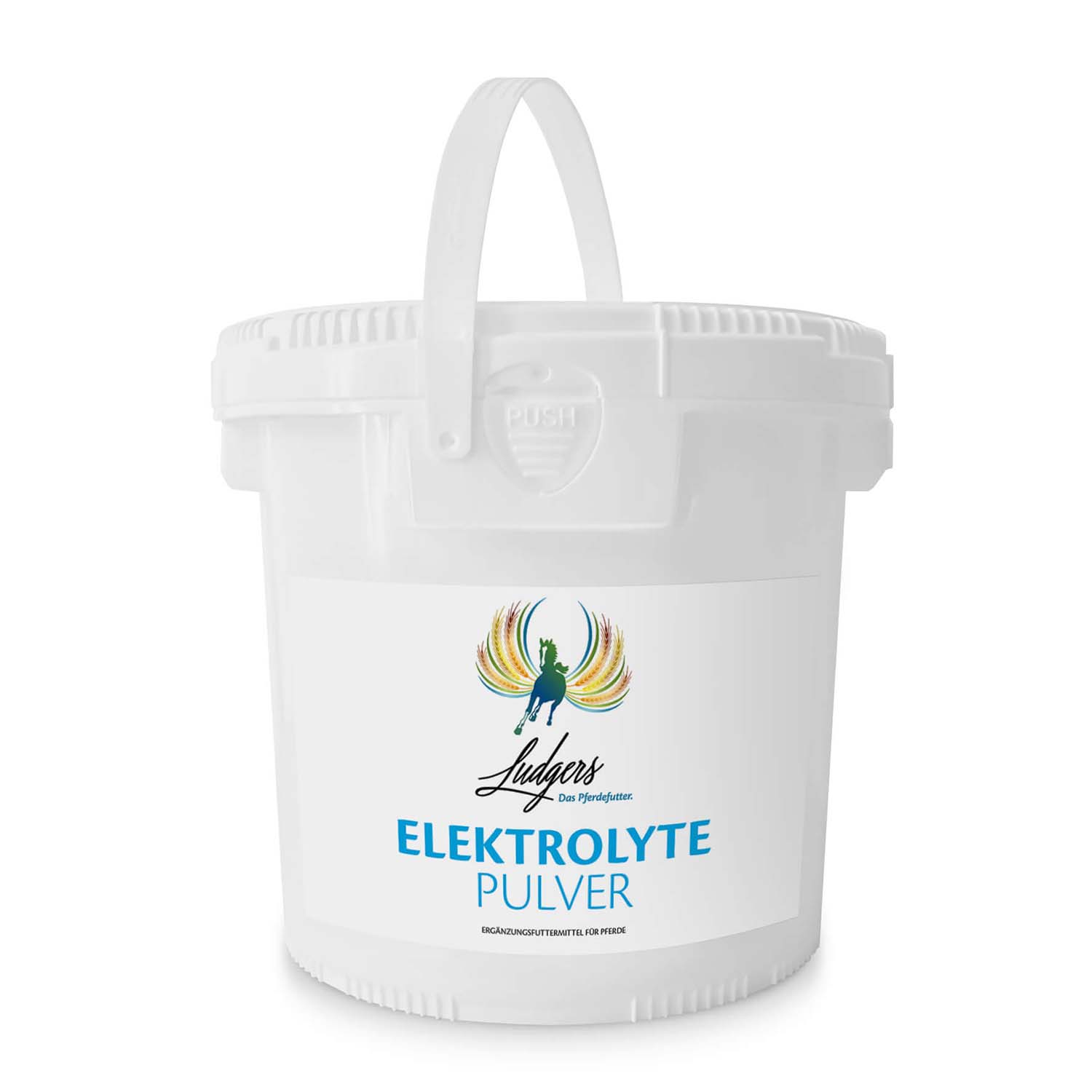 Ludgers Elektrolyte Pulver 7 kg