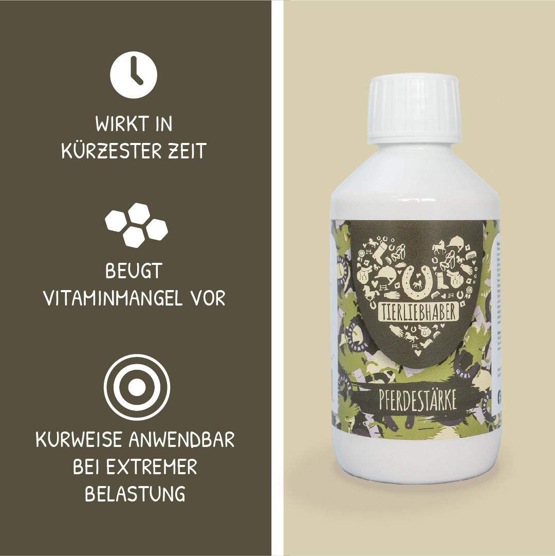 11048TLP-K4 – Bild 1