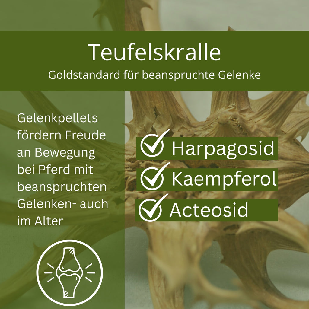 11299 – Bild 1
