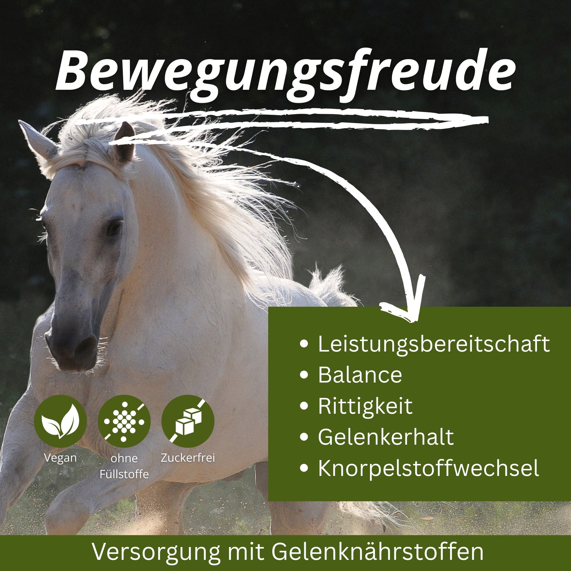 Equidocs Teufelskralle-Ingwer-MSM Pellets 1500g