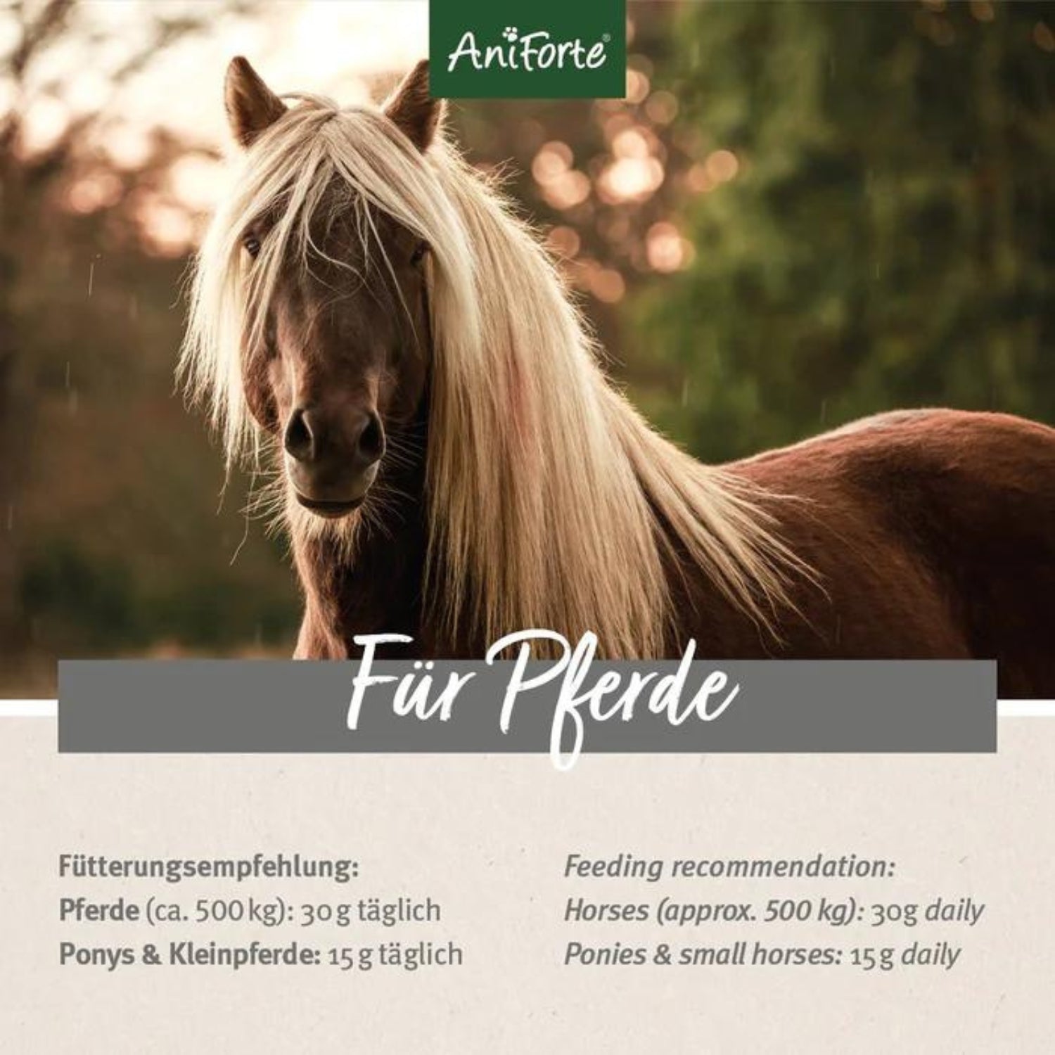 AniForte  Flohsamenschalen 2,5kg