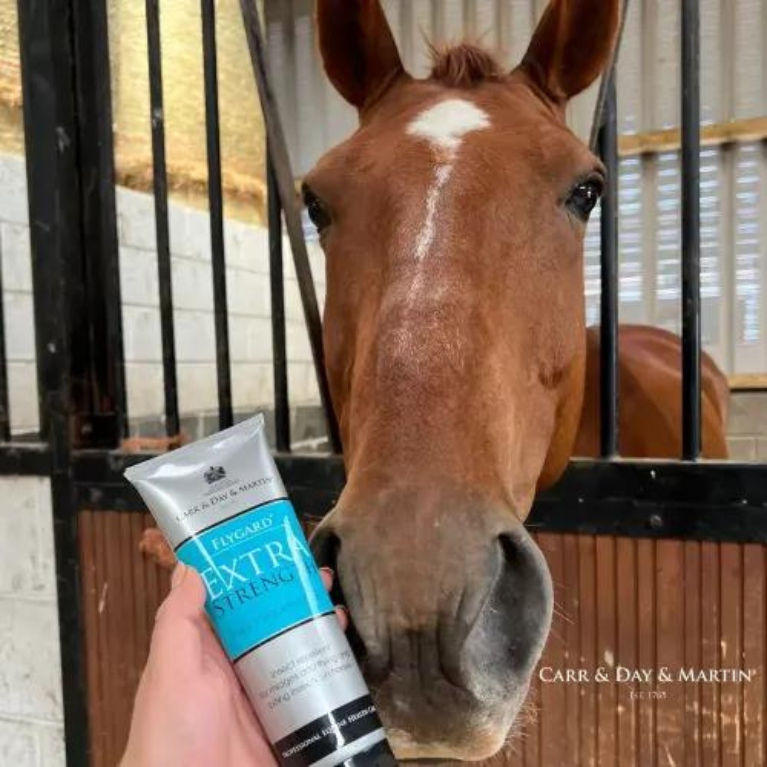 Carr & Day & Martin Flygard Extra Stark Gel 250ml