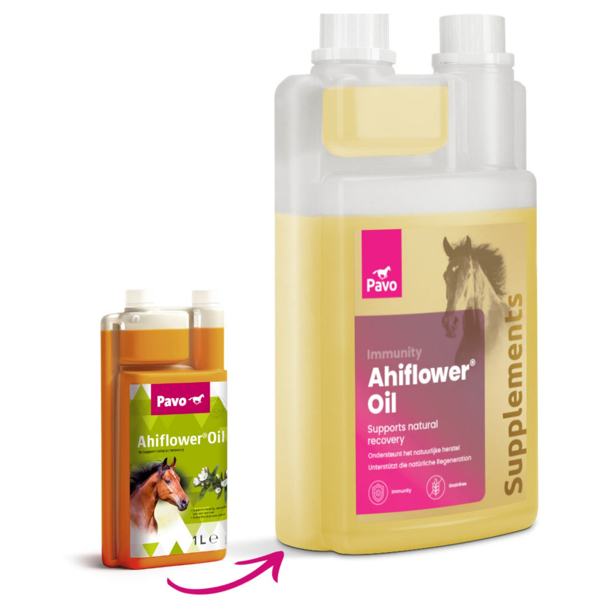 11336 – Bild 10