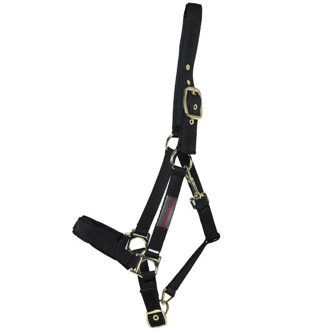 Equidocs Nylonhalfter schwarz Gr. Cob