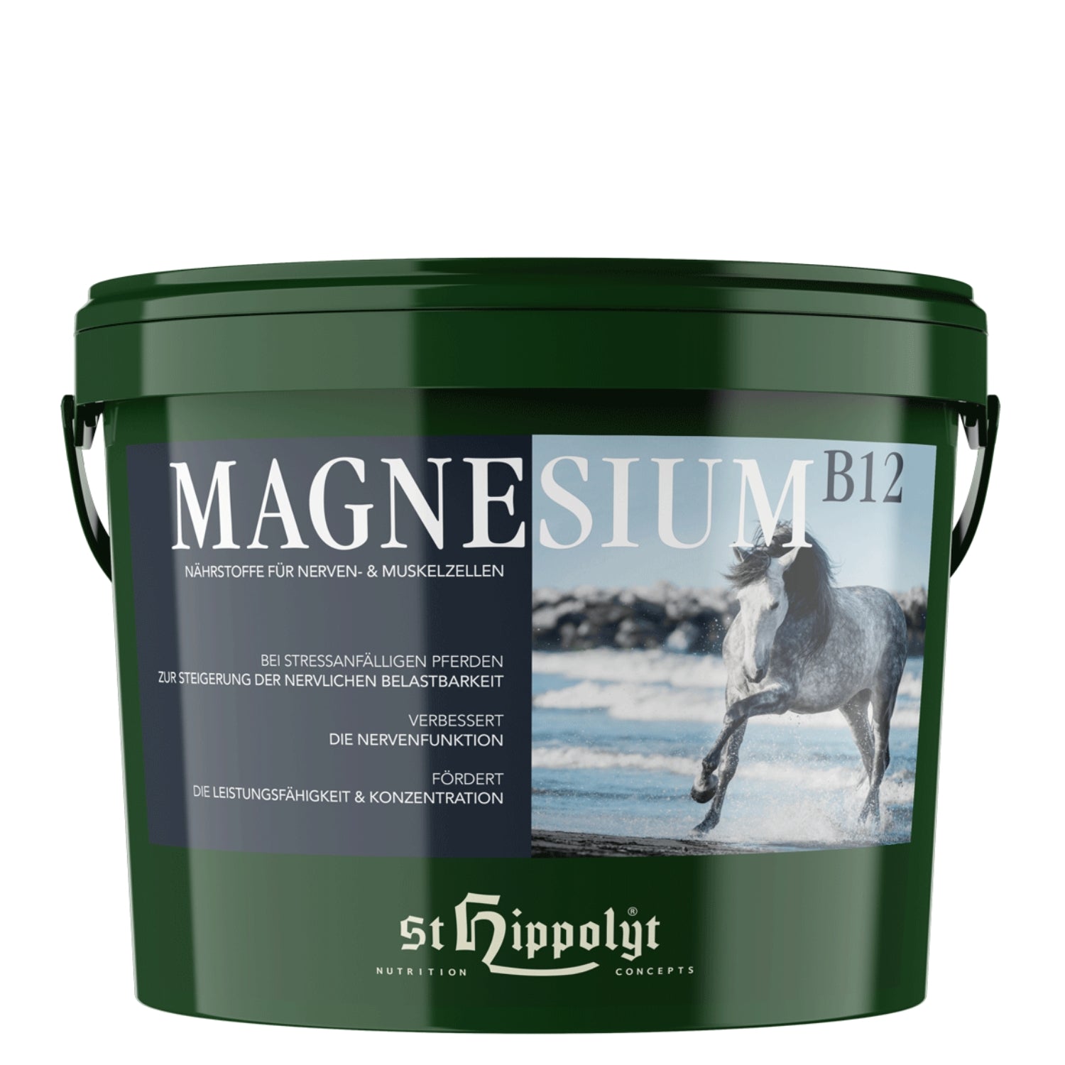 St. Hippolyt Magnesium B-12 2,5kg