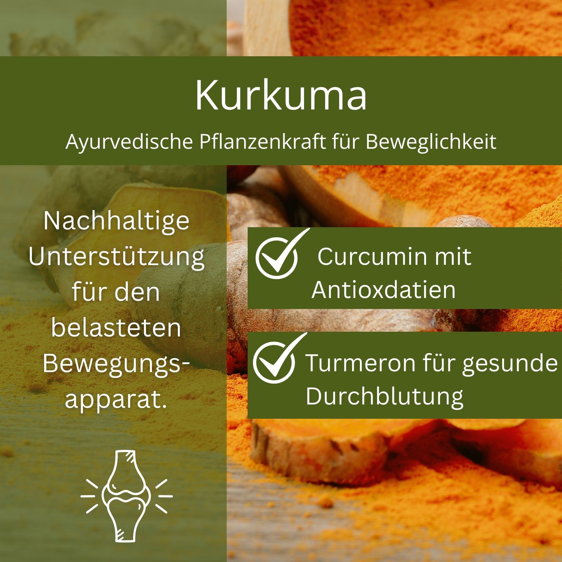 Equidocs Mobilizer Liquid 1000ml