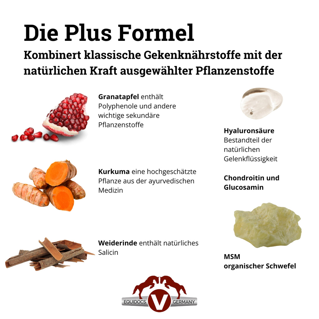 Equidocs Mobilizer Liquid 1000ml