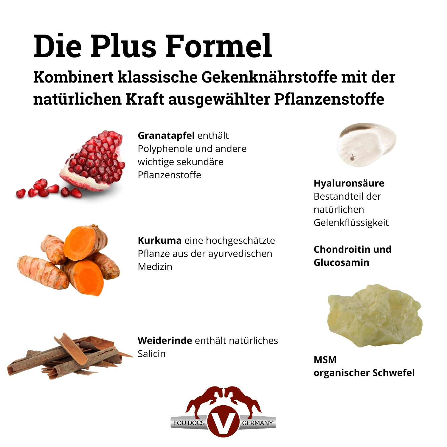 Equidocs Mobilizer Liquid 1000ml