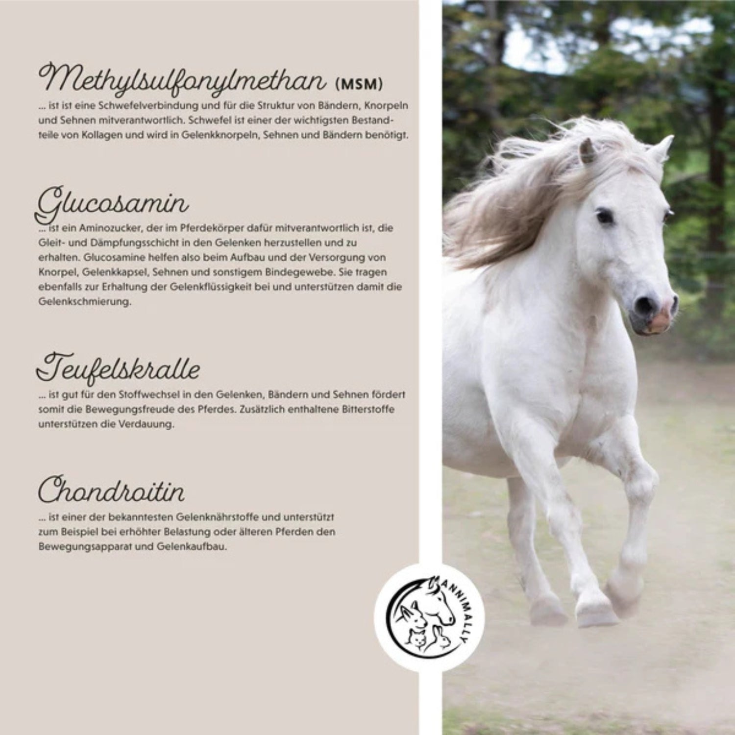 11510 – Bild 1