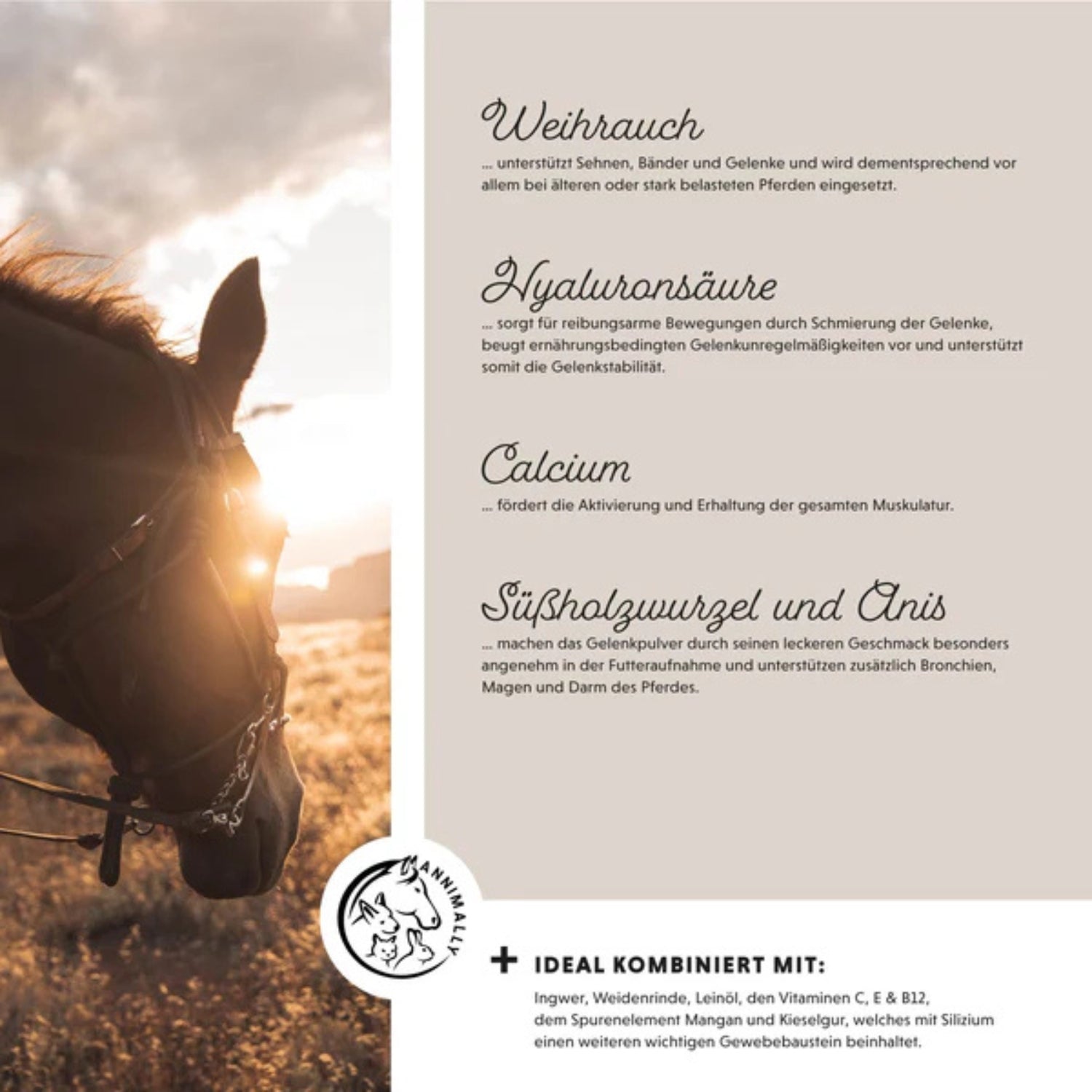 Annimally Bewegungsfreude Pulver für Pferde Nachfüllpack 2kg