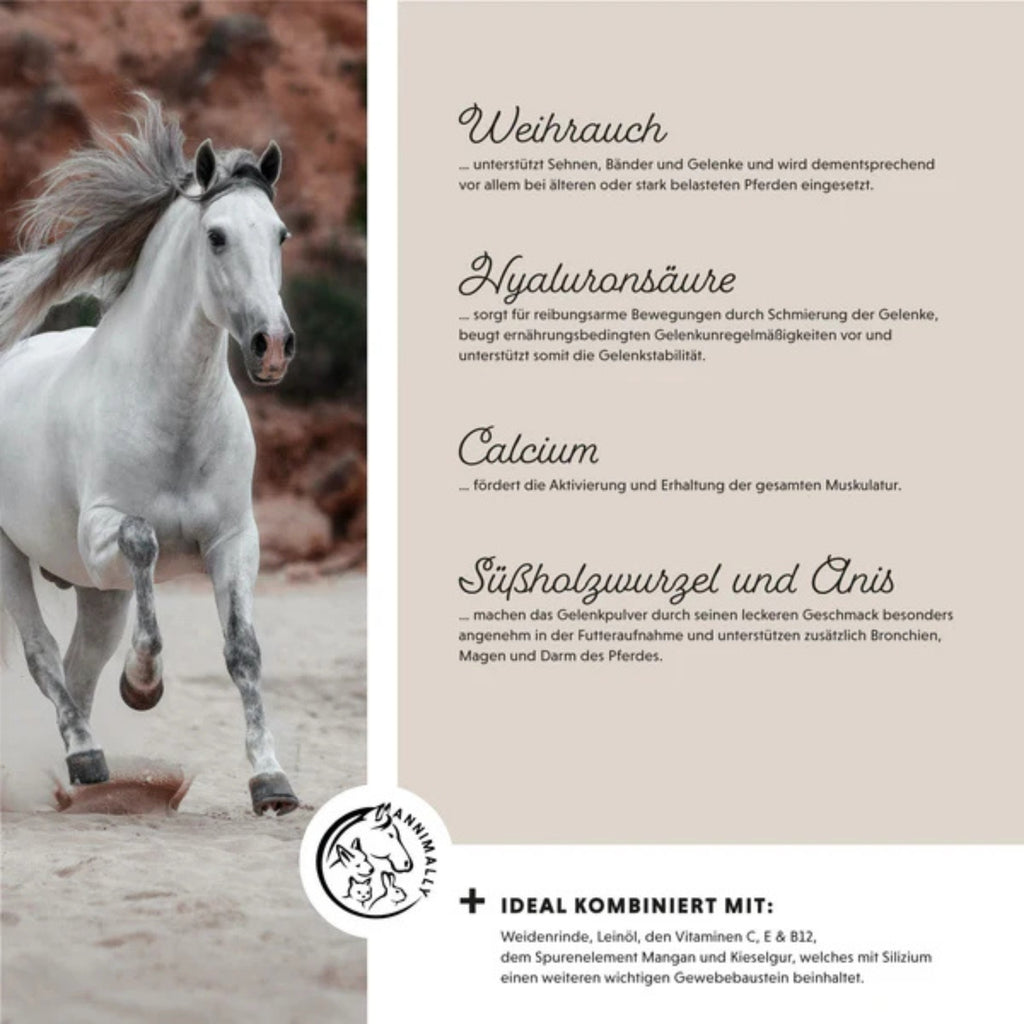 11511-K – Bild 2