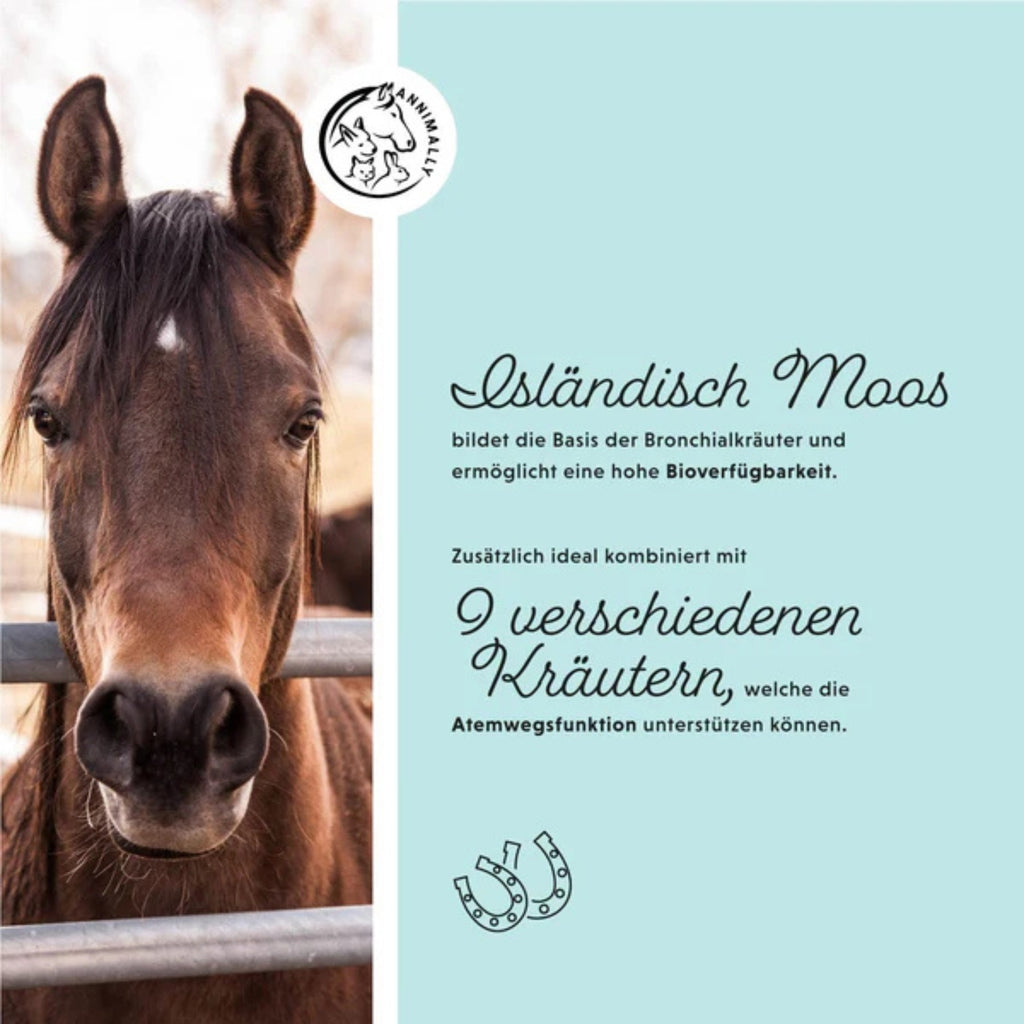 11513-K – Bild 1