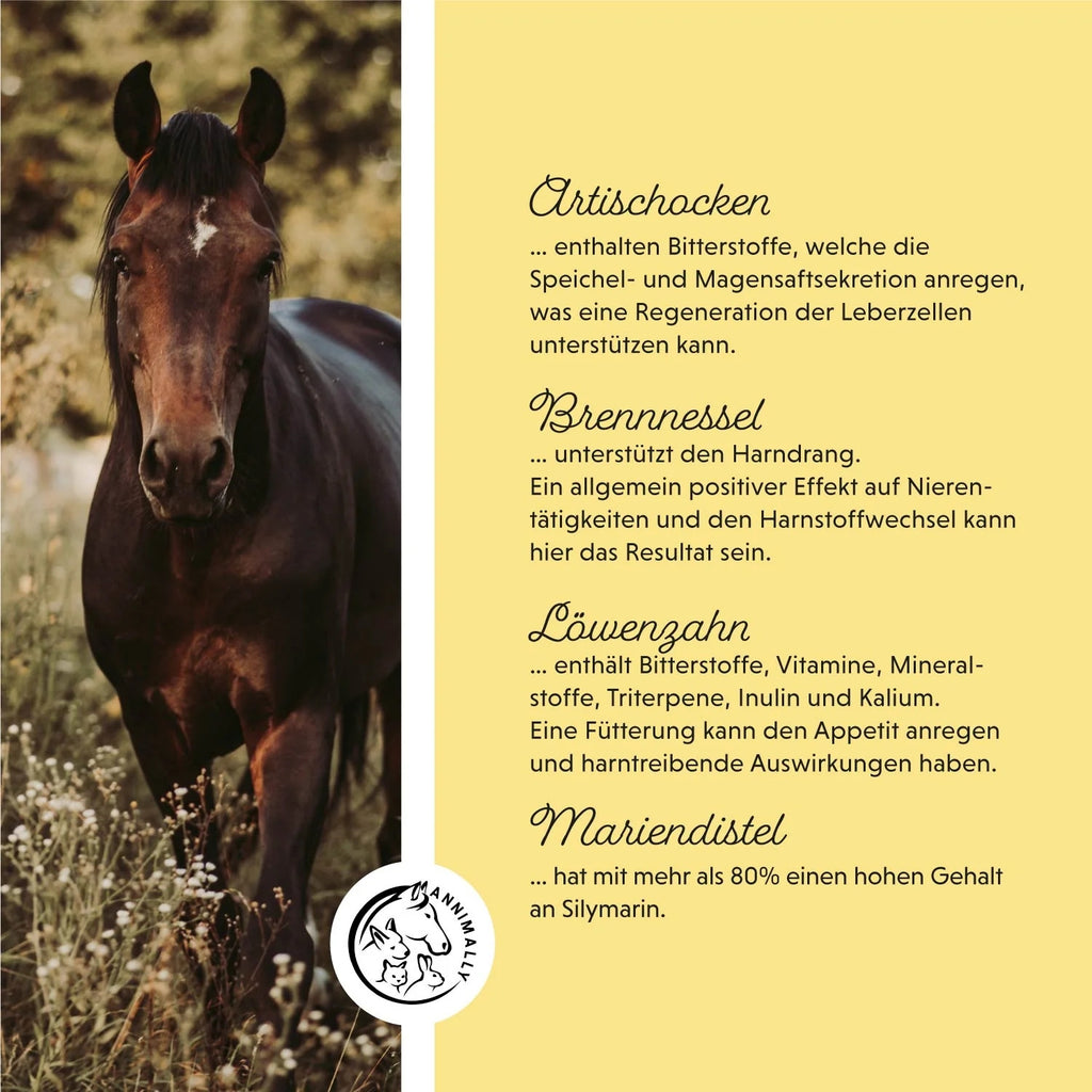 11517-K – Bild 1