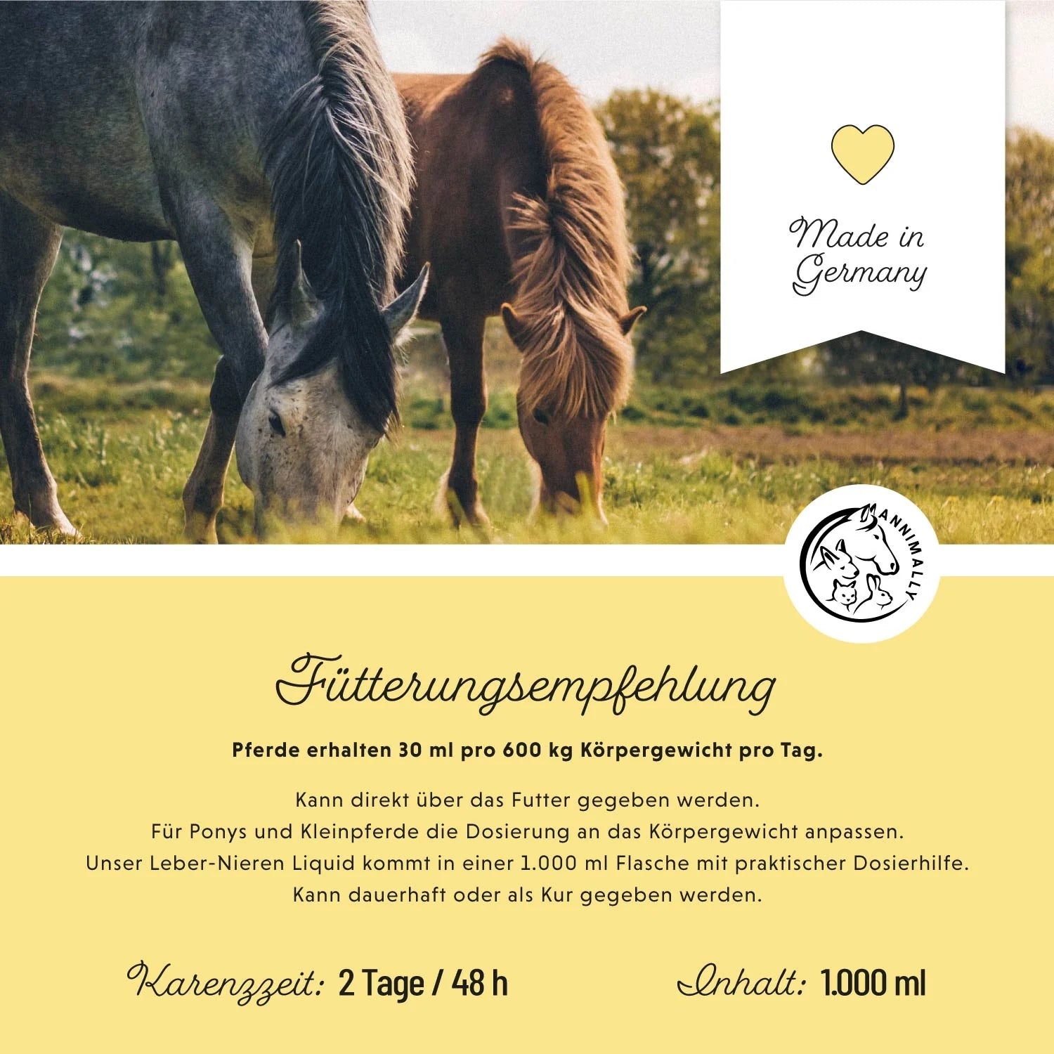 11517 – Bild 2
