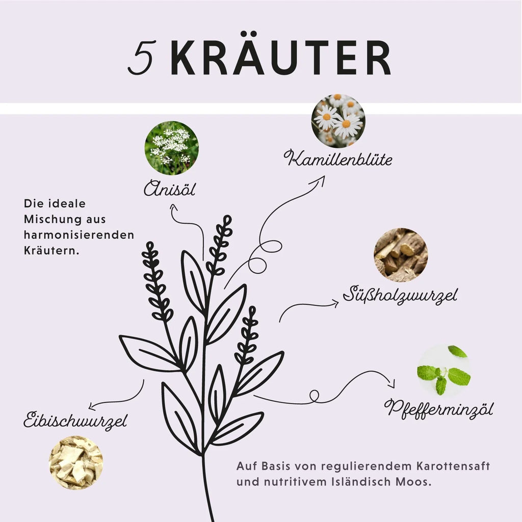 11518 – Bild 1