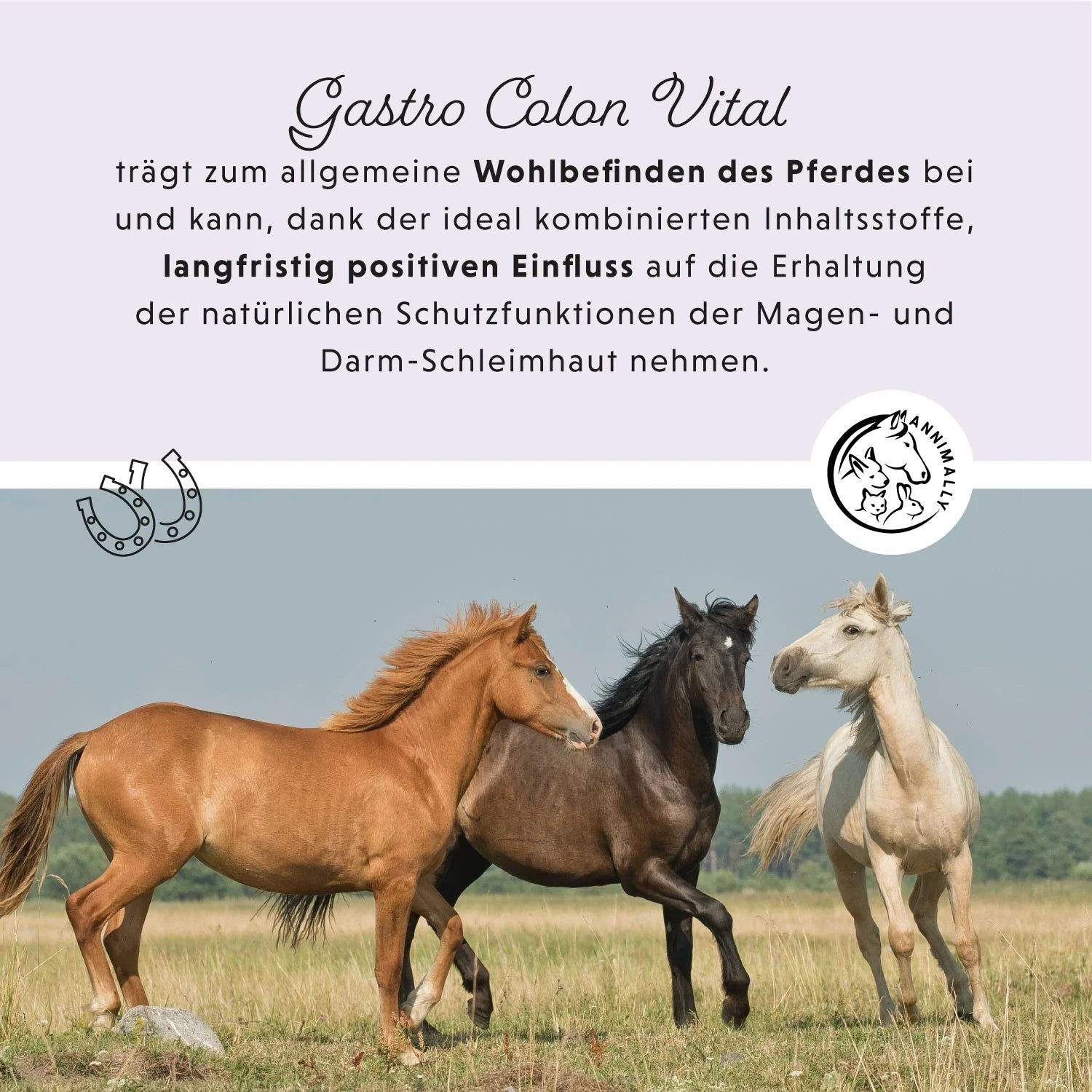 11518 – Bild 2