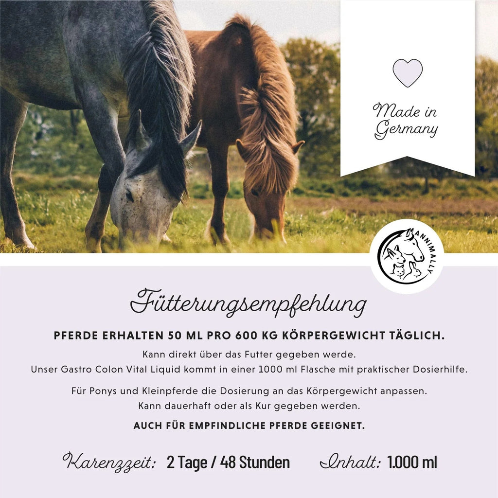 11518 – Bild 3