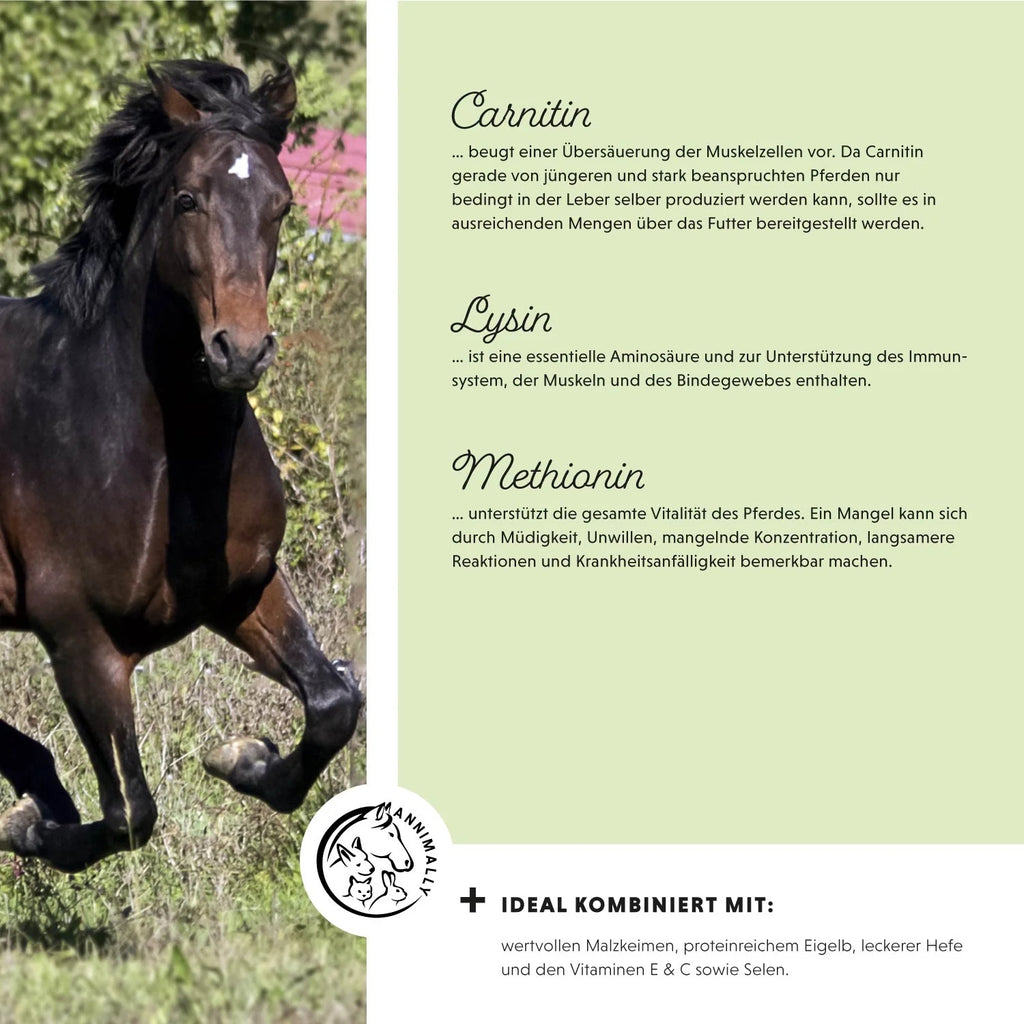 11520-K1 – Bild 2