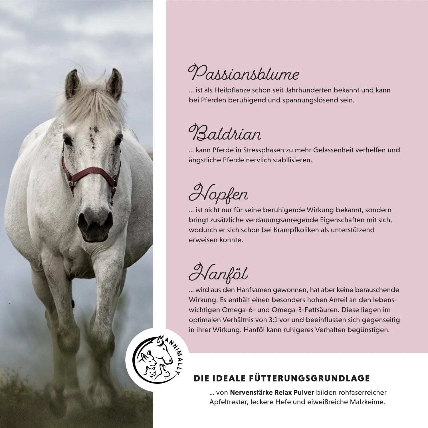 11522 – Bild 2