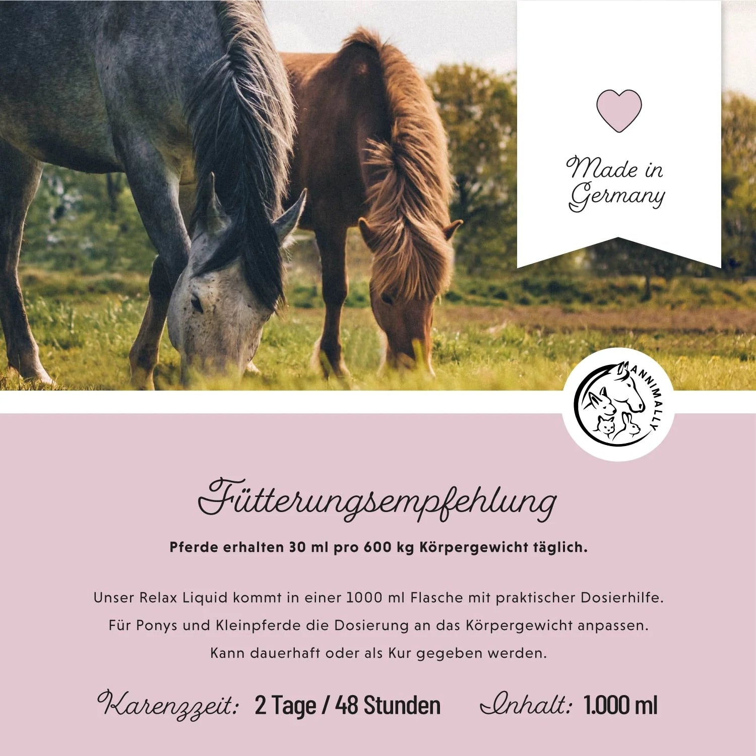11524 – Bild 3