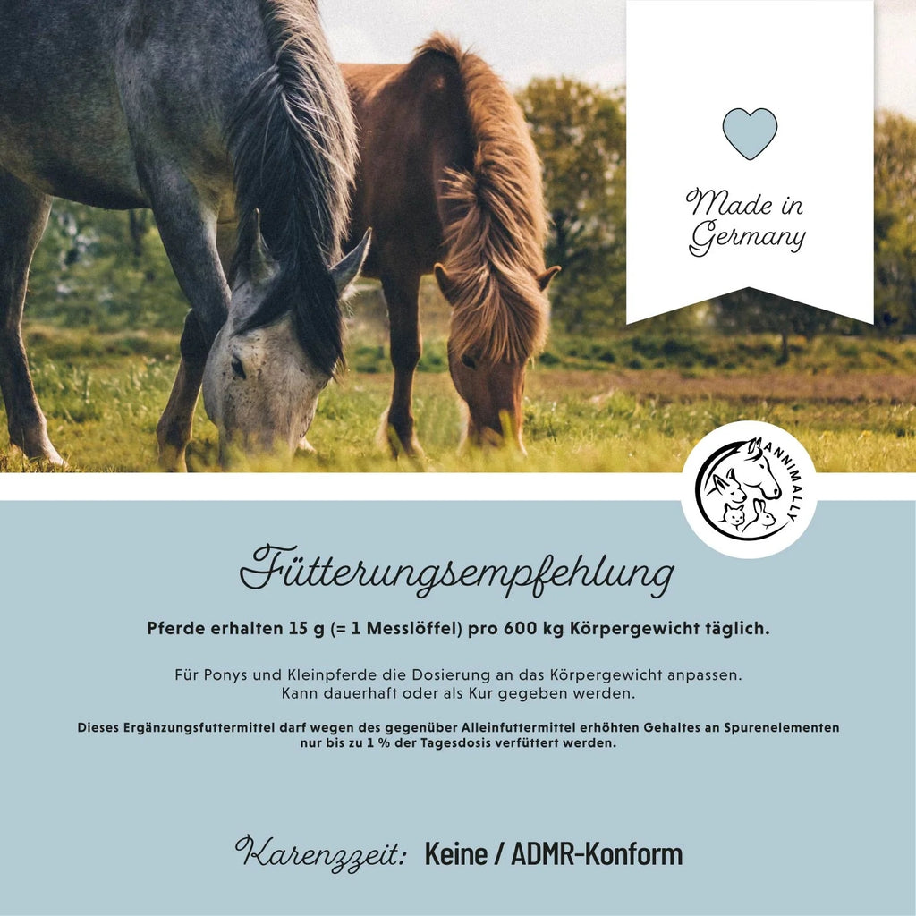 11525-K – Bild 3