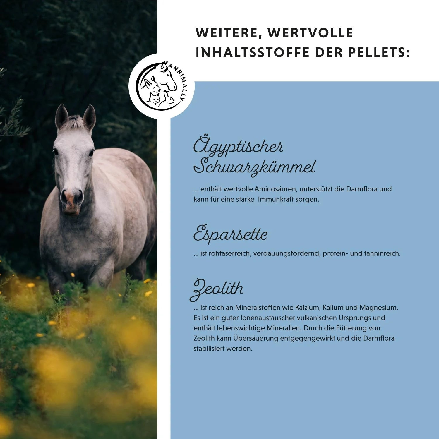 11527 – Bild 1