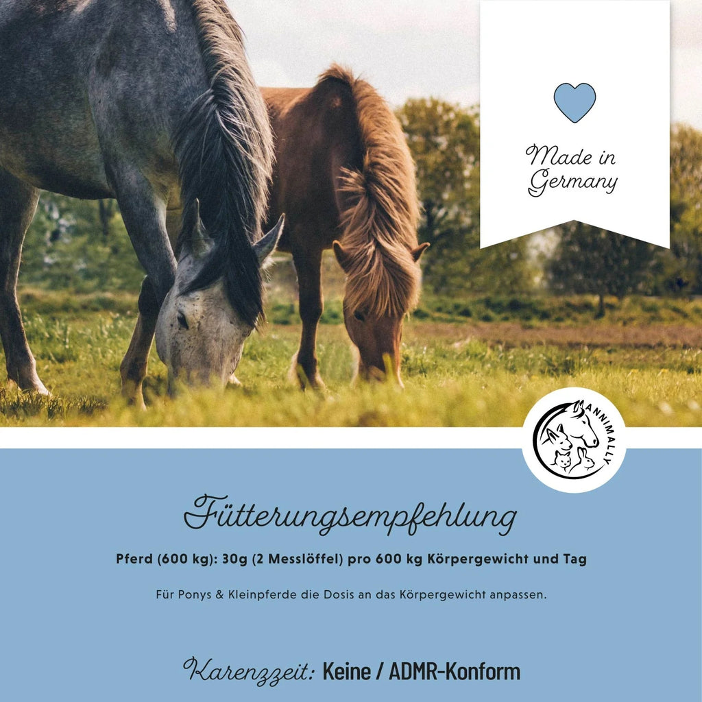 11527 – Bild 2