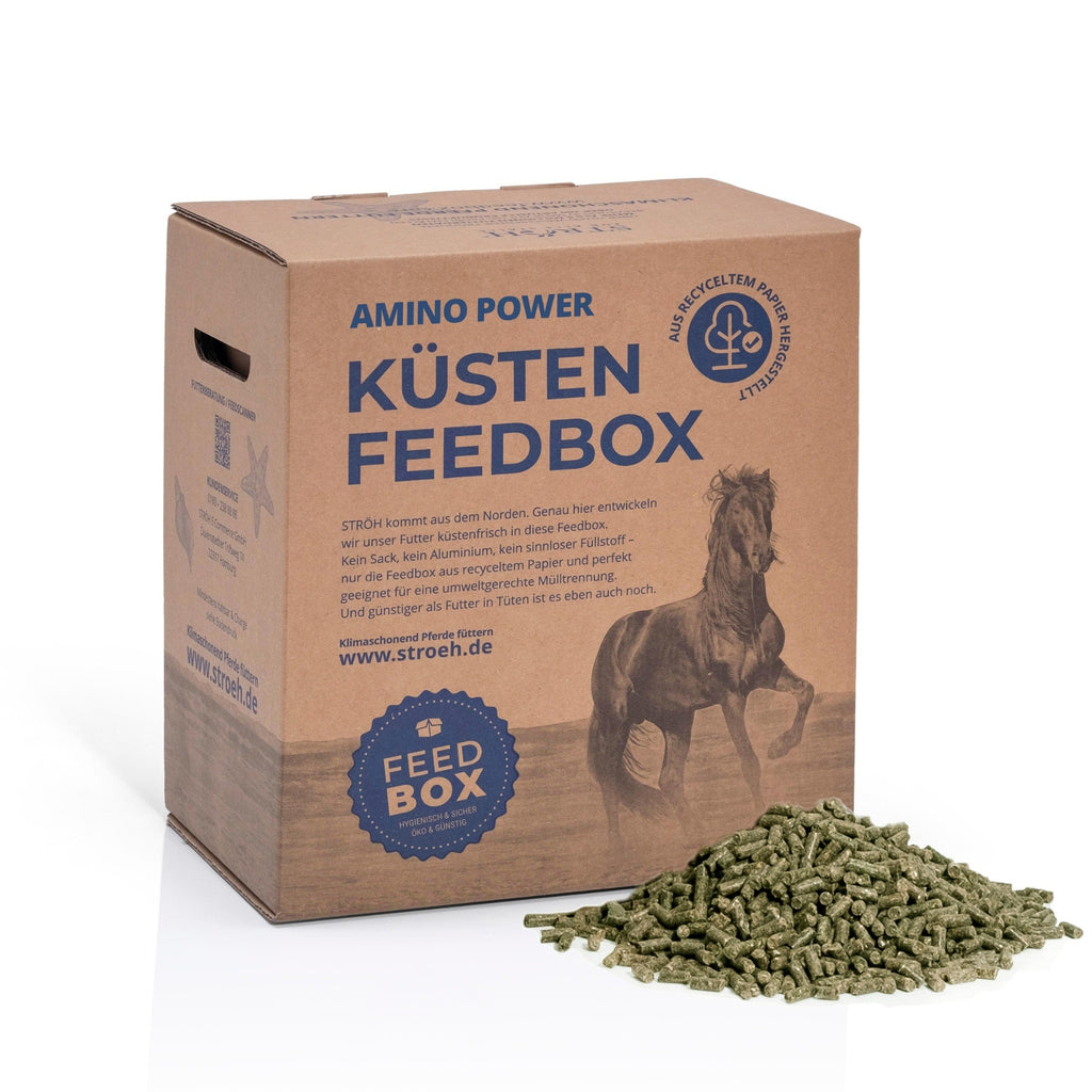 STRÖH Amino Power für Pferde 4,5kg Feedbox XXS