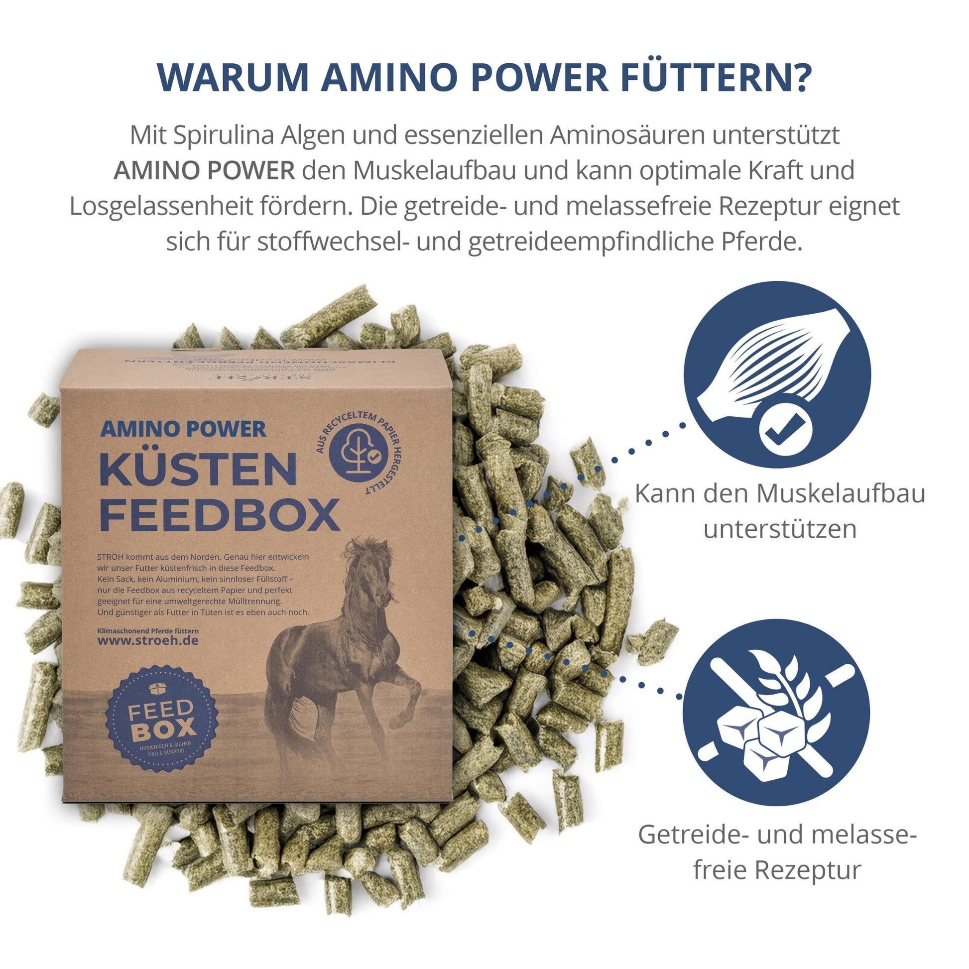 STRÖH Amino Power für Pferde 4,5kg Feedbox XXS