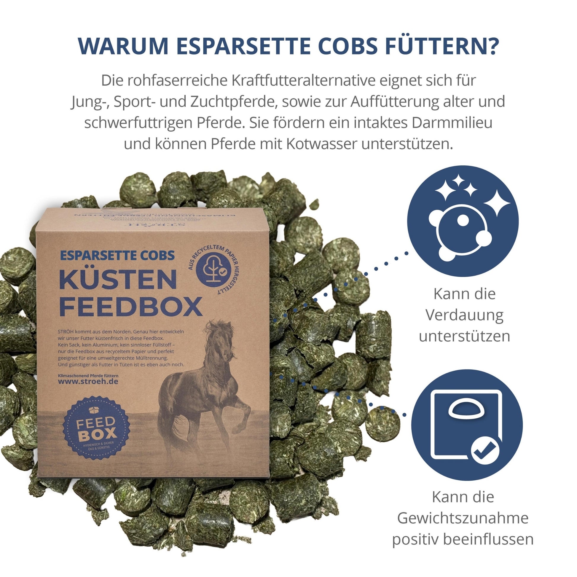 STRÖH Küsten Esparsette Cobs für Pferde 9kg Feedbox XS