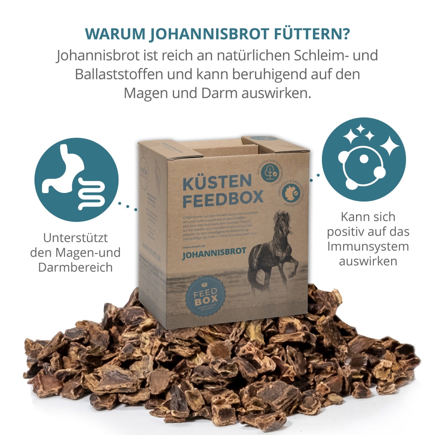 11541-K2 – Bild 1