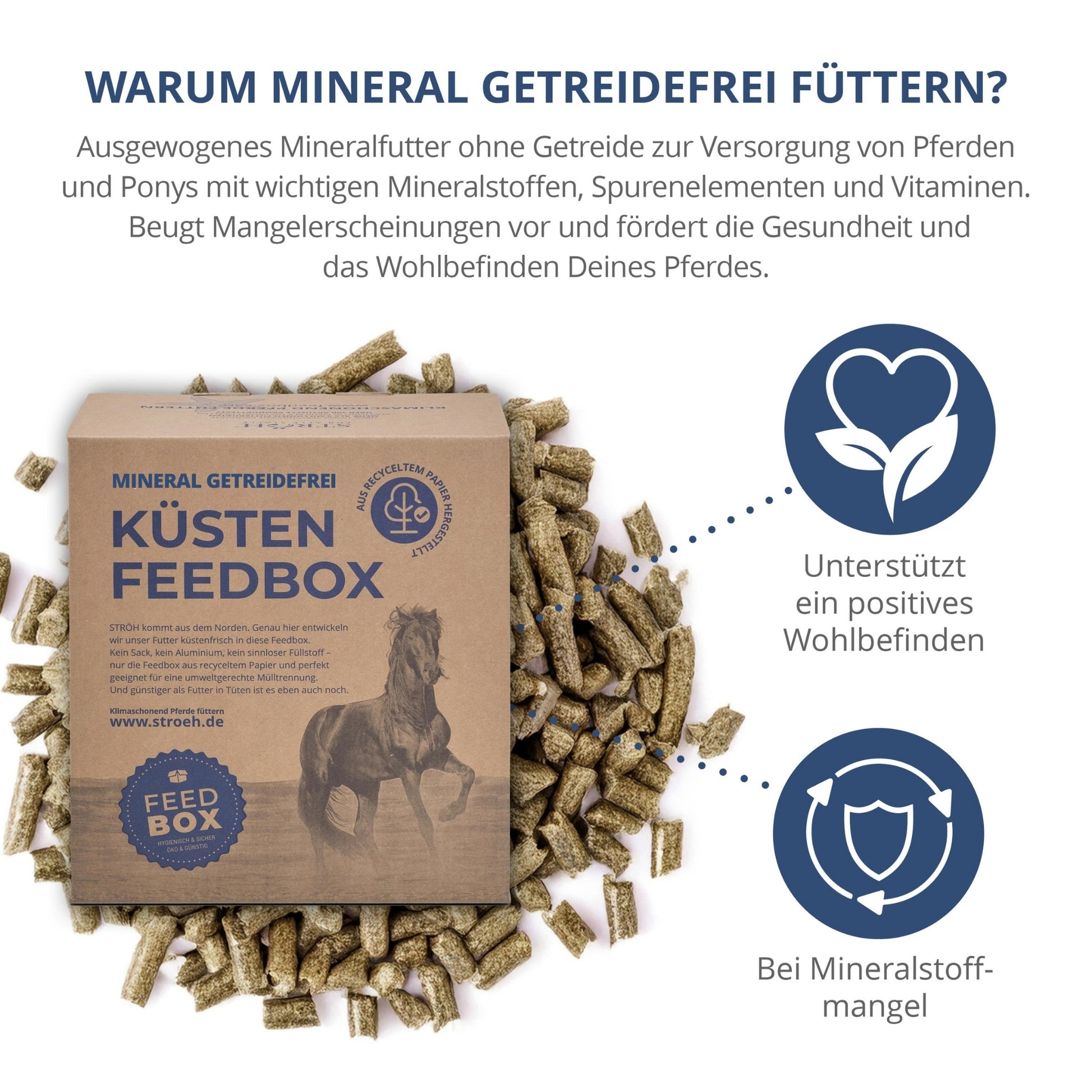 STRÖH Küsten Mineral getreidefrei für Pferde 6kg Feedbox XXS