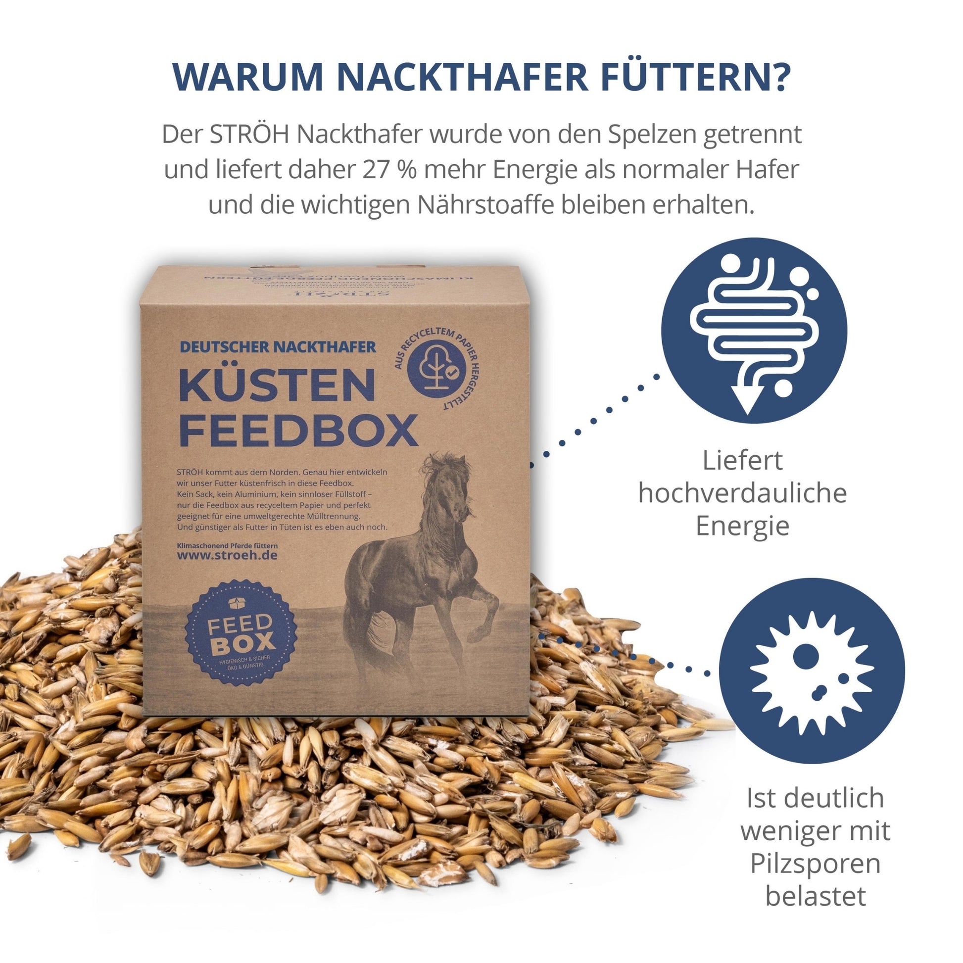 STRÖH Deutscher Hafer gereinigt und gequetscht für Pferde 10kg Feedbox MHD 30.07.2026