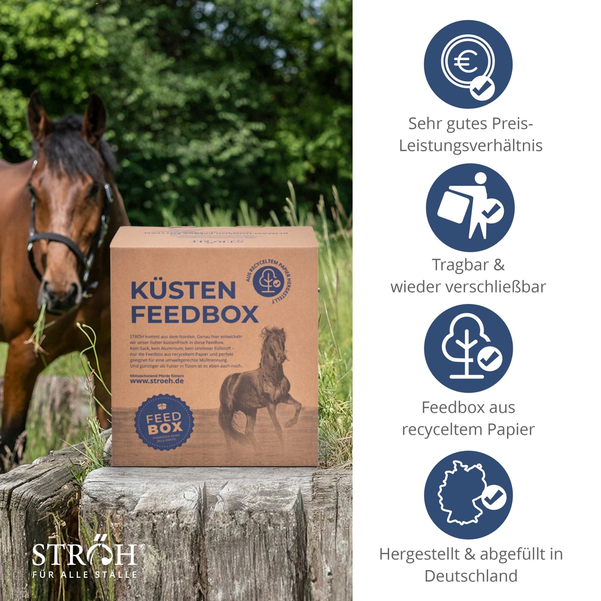 STRÖH Küsten Goodies Eukalyptus für Pferde 9kg Feedbox XS