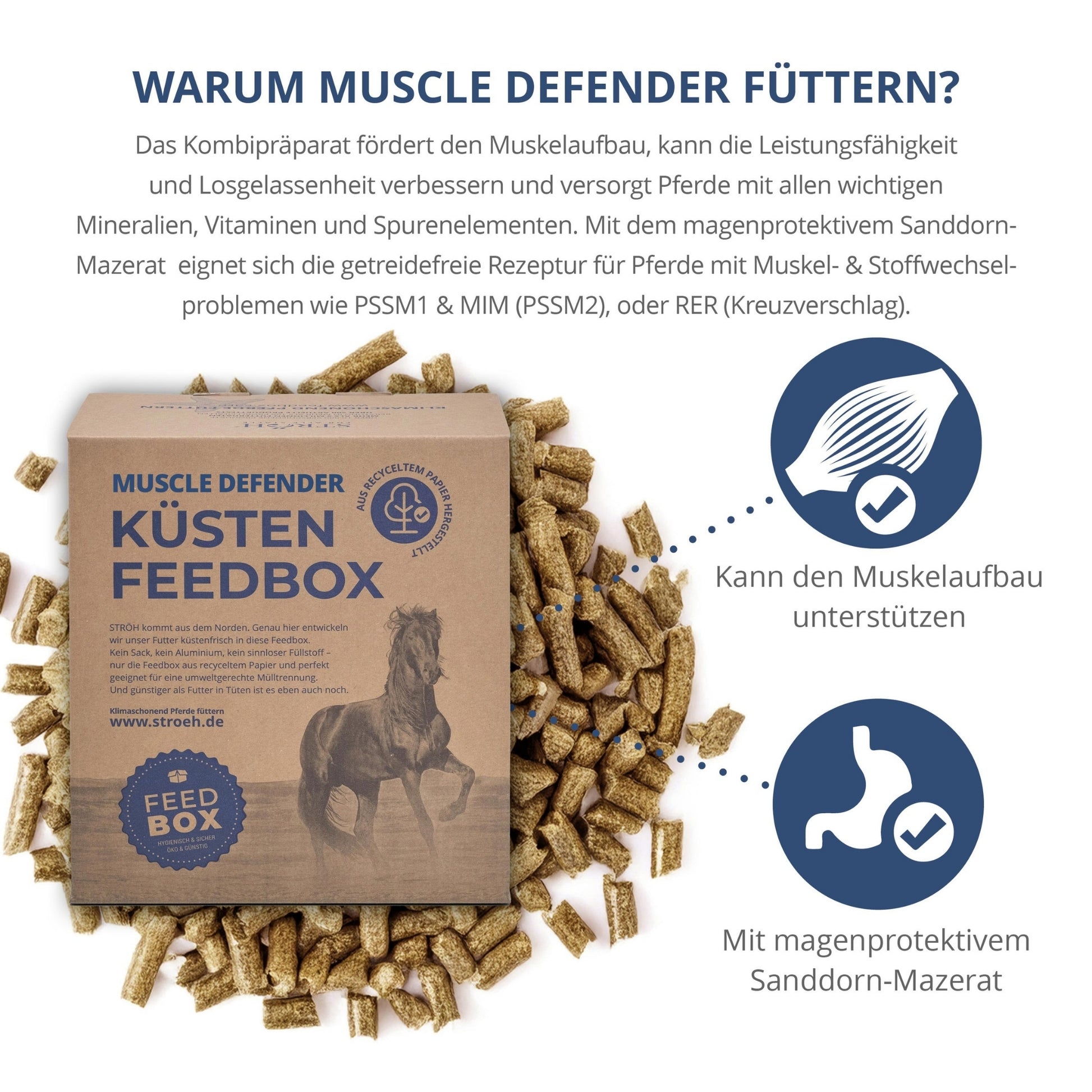 STRÖH MuscleDefender für Pferde 5kg Feedbox XXS