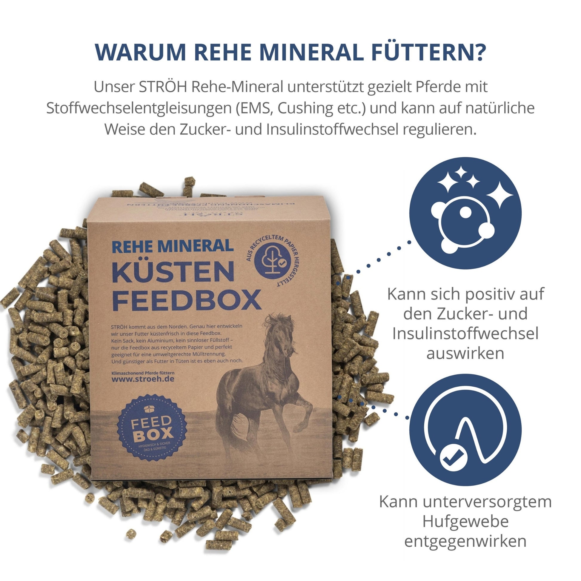 STRÖH Rehe-Mineral für Pferde 3kg Feedbox XXS