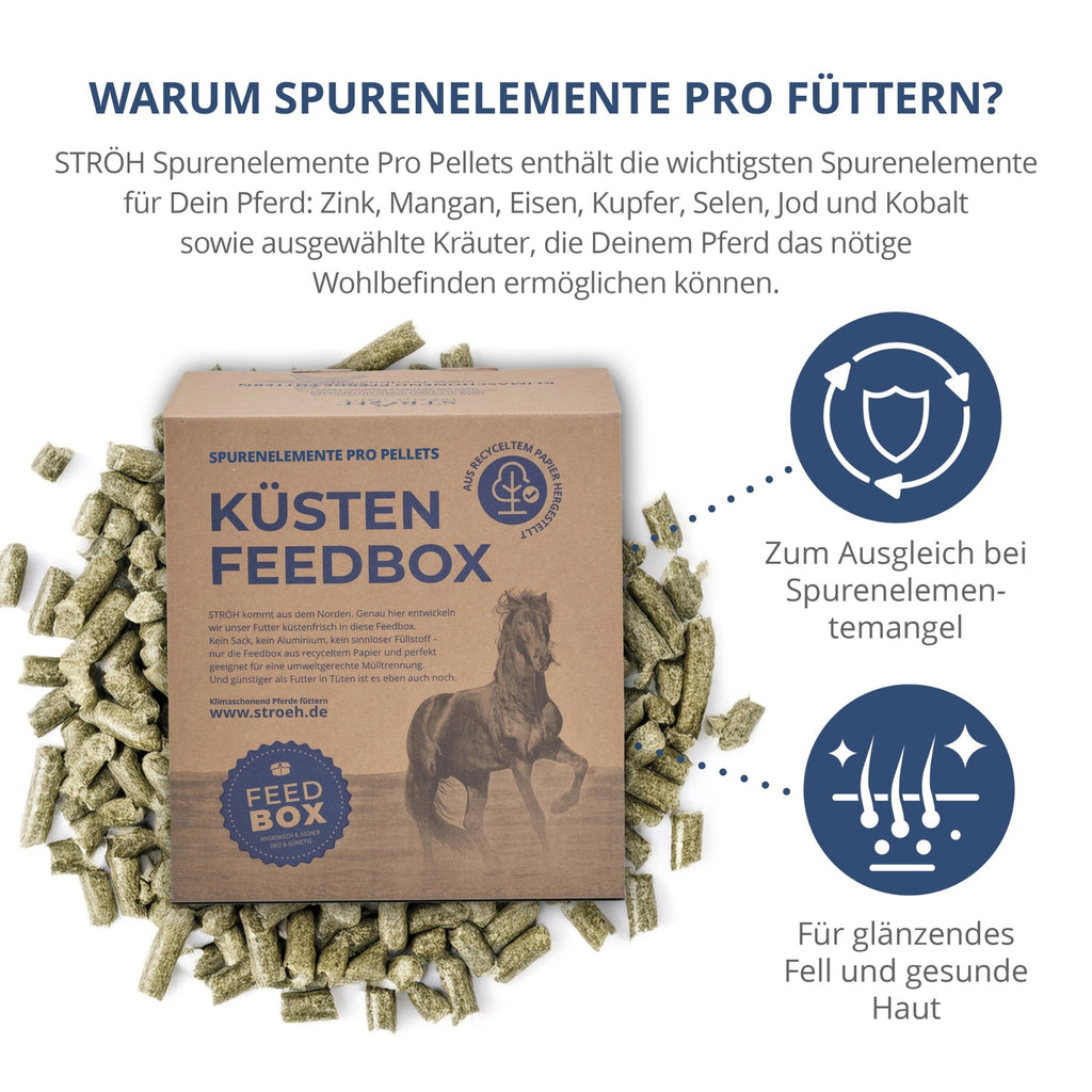 11562-K1 – Bild 1