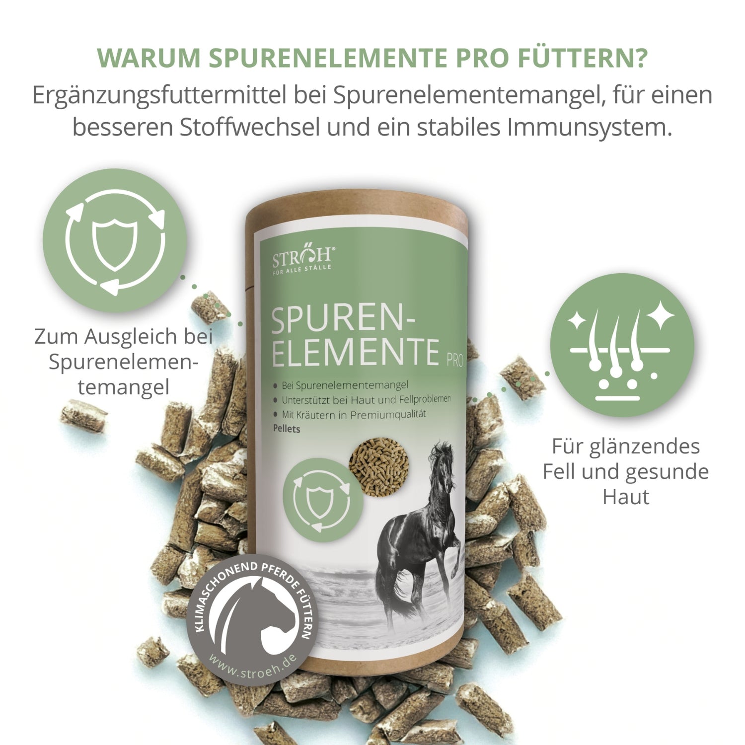 STRÖH Spurenelemente Pro Pellets für Pferde 1,2kg Feedbox Dose