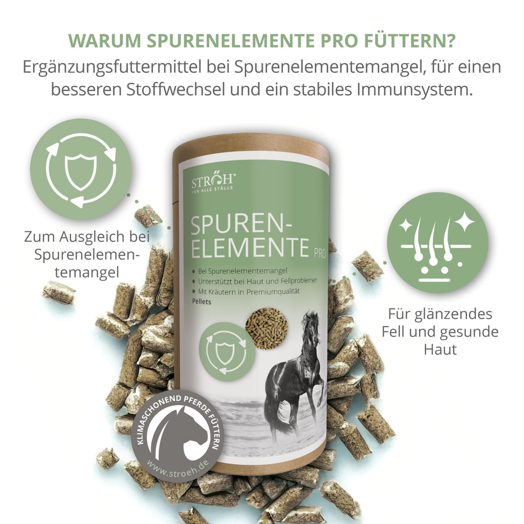11567-K – Bild 1