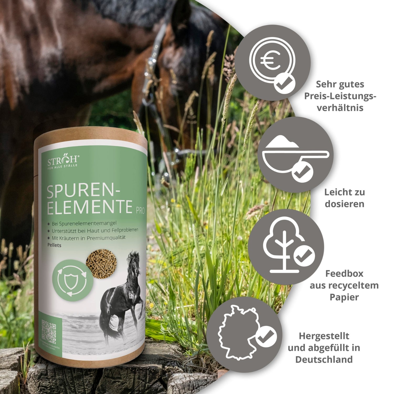 STRÖH Spurenelemente Pro Pellets für Pferde 1,2kg Feedbox Dose