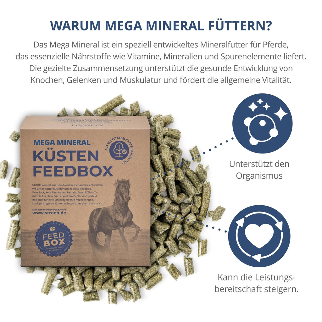 STRÖH Mega Mineral für Pferde 7kg Feedbox MHD 31.08.2026