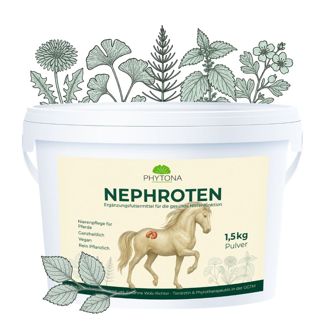 Phytona Nephroten 1500g